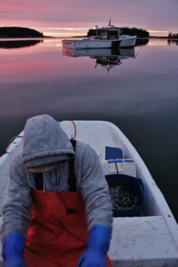 man on dingy in harbor at sunrise