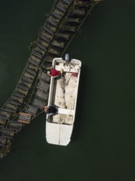 bird's eye shot of a two people in a dinghy