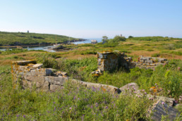 Old foundations from earlier centuries on Damariscove Island