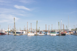boats in working harbor
