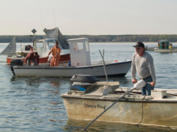 Quahog fishermen at work